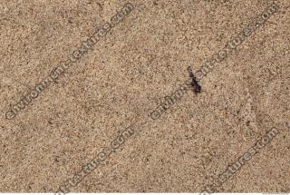 Sand 0042